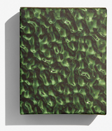 Green Impressions Gift Box Case image 0